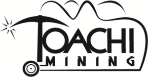 Diseño de Logo por Demchos para RGMI | Diseño: #8490631