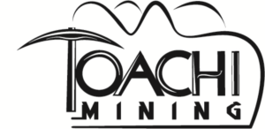 Diseño de Logo por Demchos para RGMI | Diseño: #8490632