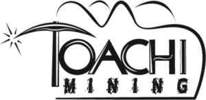 Diseño de Logo por Demchos para RGMI | Diseño: #8490651