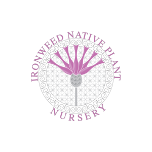 Logo Design by kriccc