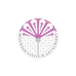 Logo Design by kriccc for Ironweed Native Plant Nursery | Design: #8507210