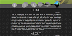 Web-Design von Angel Designs MX für Triton grupa d.o.o. | Design: #2011734