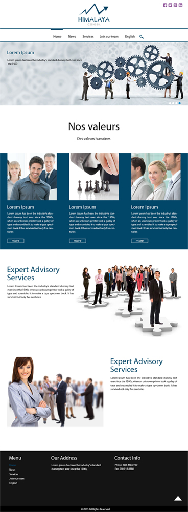 Web Design by Ather Ali Khan for HIMALAYA CONSEIL | Design #8768607