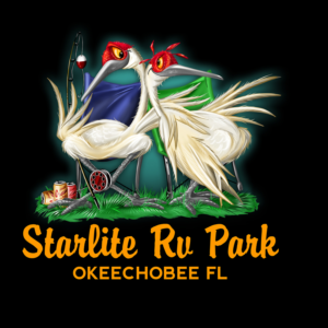 Diseño de Camiseta por vladst2004 para Starlite rv park  | Diseño: #9566786