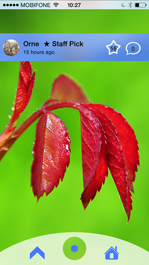 App Design by akalanka7962 for this project | Design #8479482