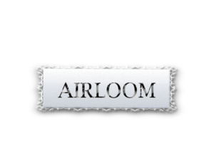 Logo Design by TS computer graphic