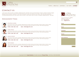 Technology Consulting Firm needs Logo and Web Design | Web Design by shonecom