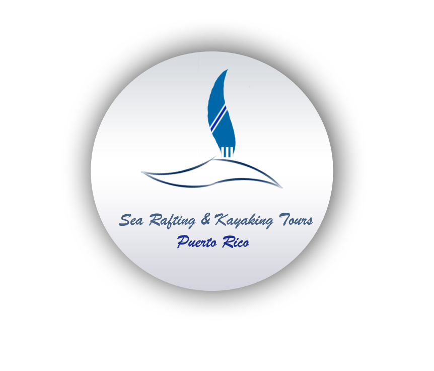 Logo Design by Rahul Thadani for The E. Group | Design #2011271