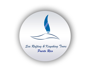 Logo Design by Rahul Thadani