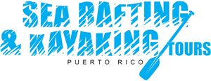 Logo Design by RRP