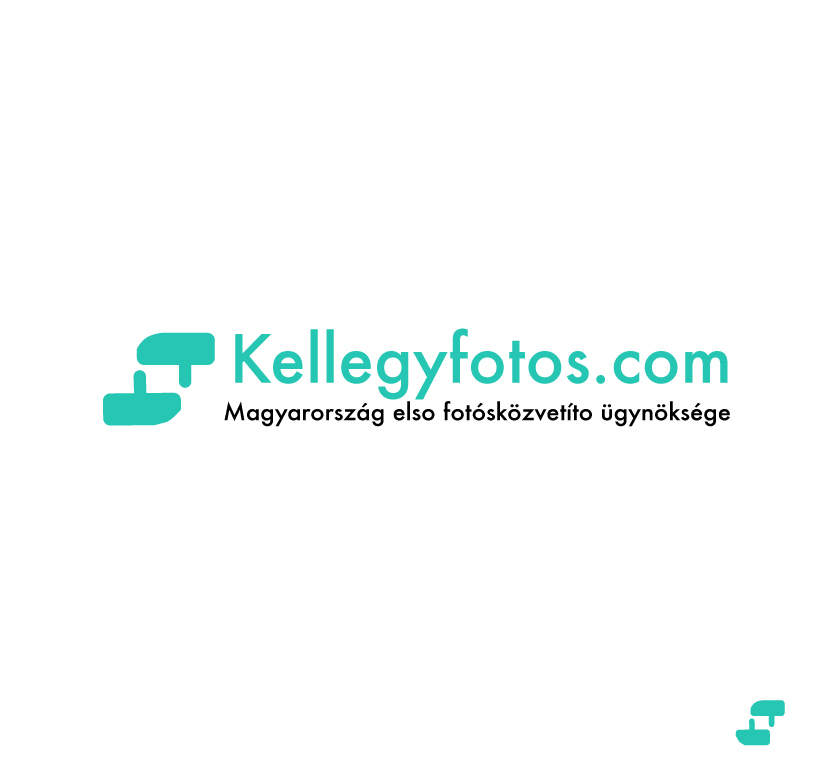 Logo Design by Hiccups Design for this project | Design #405804