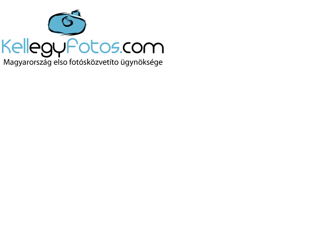 Logo Design by Design09 for this project | Design #405640