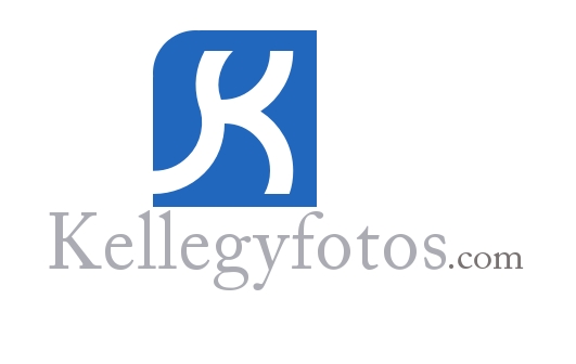 Logo Design by Modine Designs for this project | Design #403815