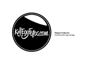 Logo Design by Koj for this project | Design: #408874