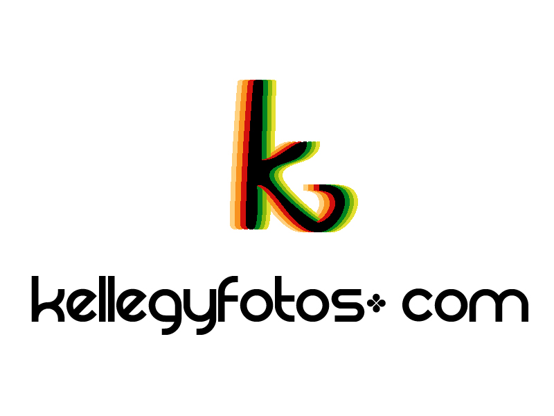 Design de Logo par alexlupica pour ce projet | Design #409629