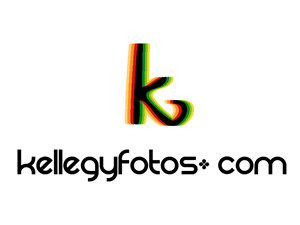 Logo Design by alexlupica for this project | Design #409629