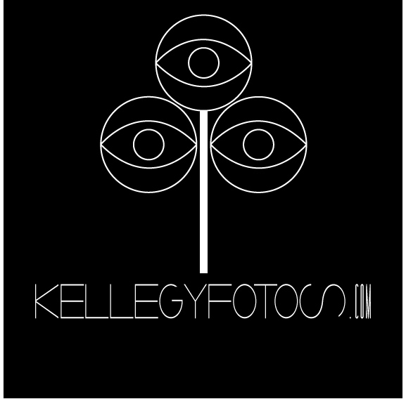 Logo Design by FlorisDesign for this project | Design #405588