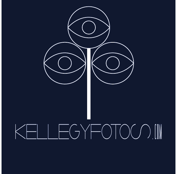 Logo Design by FlorisDesign for this project | Design #405593