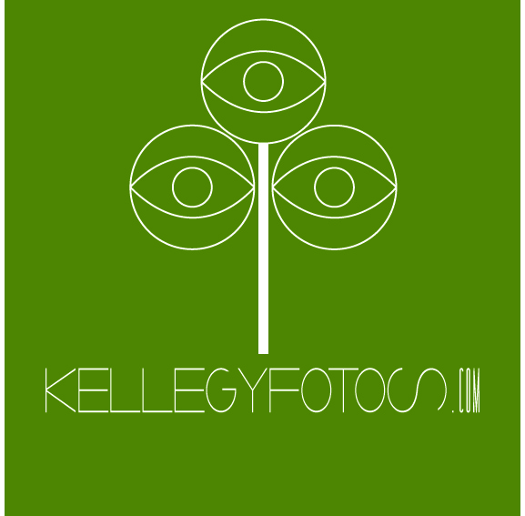 Logo Design by FlorisDesign for this project | Design #405594