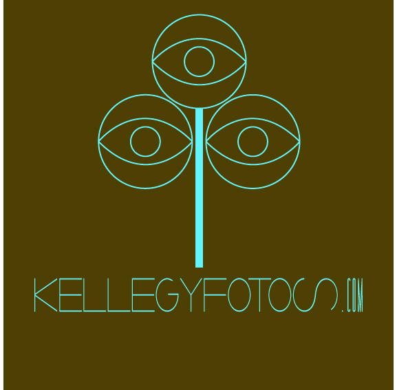 Logo Design by FlorisDesign for this project | Design #405596