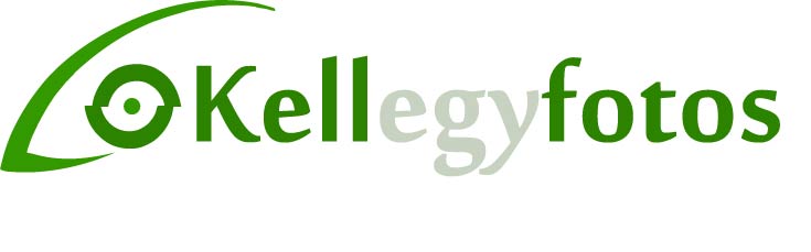 Logo Design by Daniel Adrian Robu for this project | Design #404020