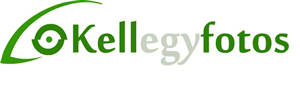 Logo Design by Daniel Adrian Robu