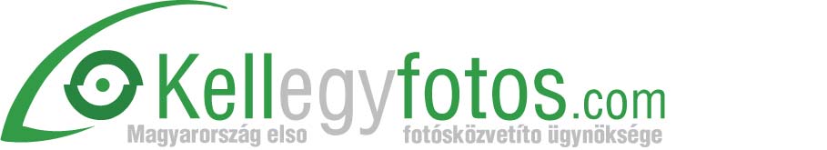 Logo Design by Daniel Adrian Robu for this project | Design #404748