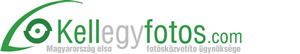 Logo Design by Daniel Adrian Robu for this project | Design: #404748