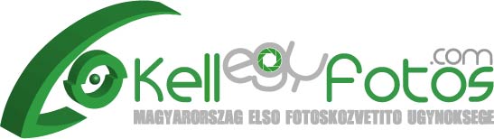 Logo Design by Daniel Adrian Robu for this project | Design #405096