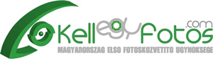 Logo Design by Daniel Adrian Robu for this project | Design: #405096