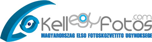 Logo Design by Daniel Adrian Robu for this project | Design: #405097