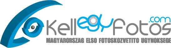 Logo Design by Daniel Adrian Robu for this project | Design #405099