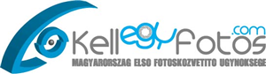 Logo Design by Daniel Adrian Robu for this project | Design: #405099