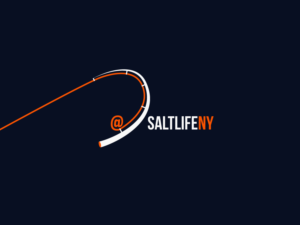 Logo Design by dii for this project | Design: #8500091