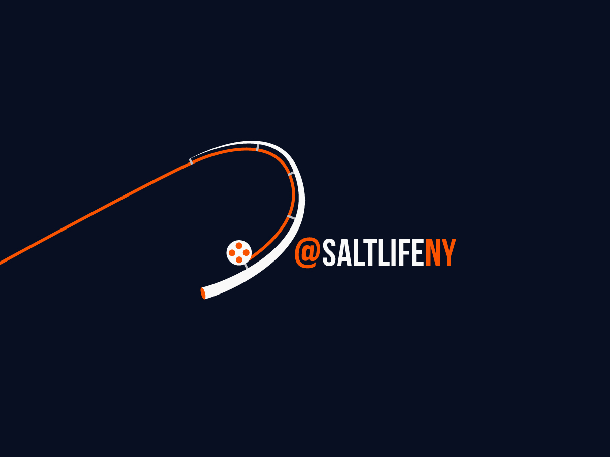 Design de Logo par dii pour ce projet | Design #8526221