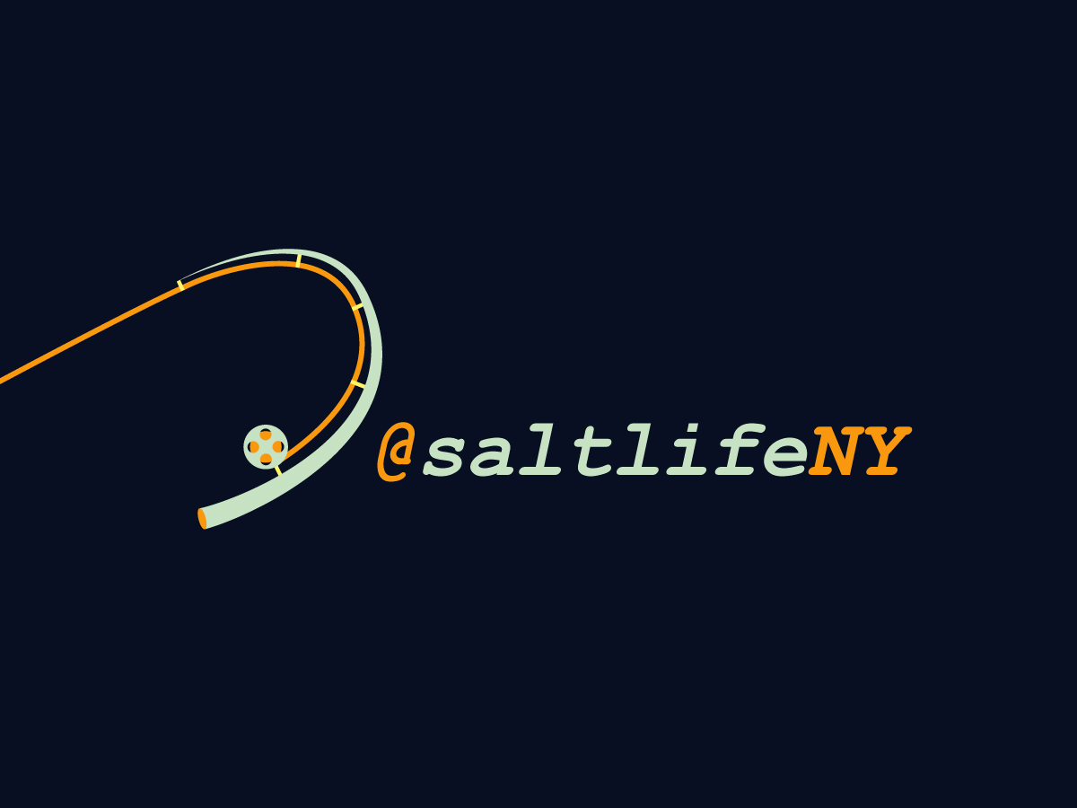 Logo-Design von dii für dieses Projekt | Design #8536855