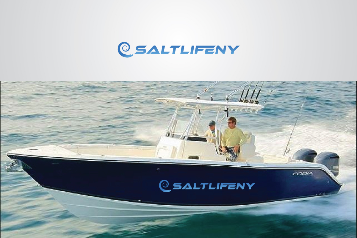 Logo Design by Hulk smith for this project | Design #9169923