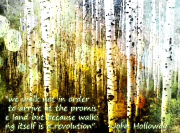 Poster Design by vchawla26 for this project | Design #2003273