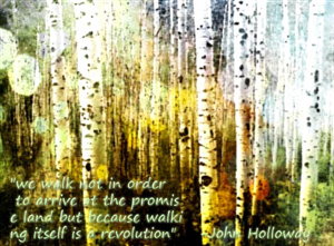 Poster Design by vchawla26 for this project | Design: #2003273