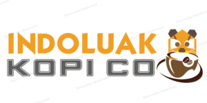 Logo Design by Expert Designer