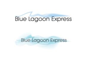 Logo Design by nsa51southwest
