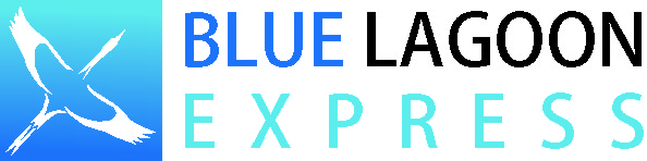 Diseño de Logo por atifamin24 para Farvegur Travel Investments | Diseño #9189127