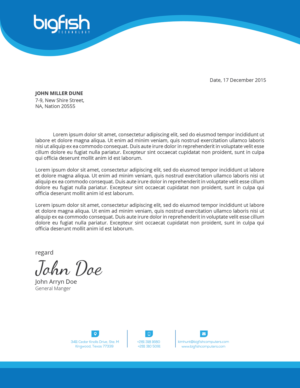 Letterhead Design by zadit for Big Fish Computers | Design: #9168479