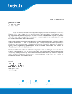 Letterhead Design by zadit for Big Fish Computers | Design: #9168480