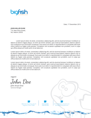 Letterhead Design by zadit for Big Fish Computers | Design: #9228654