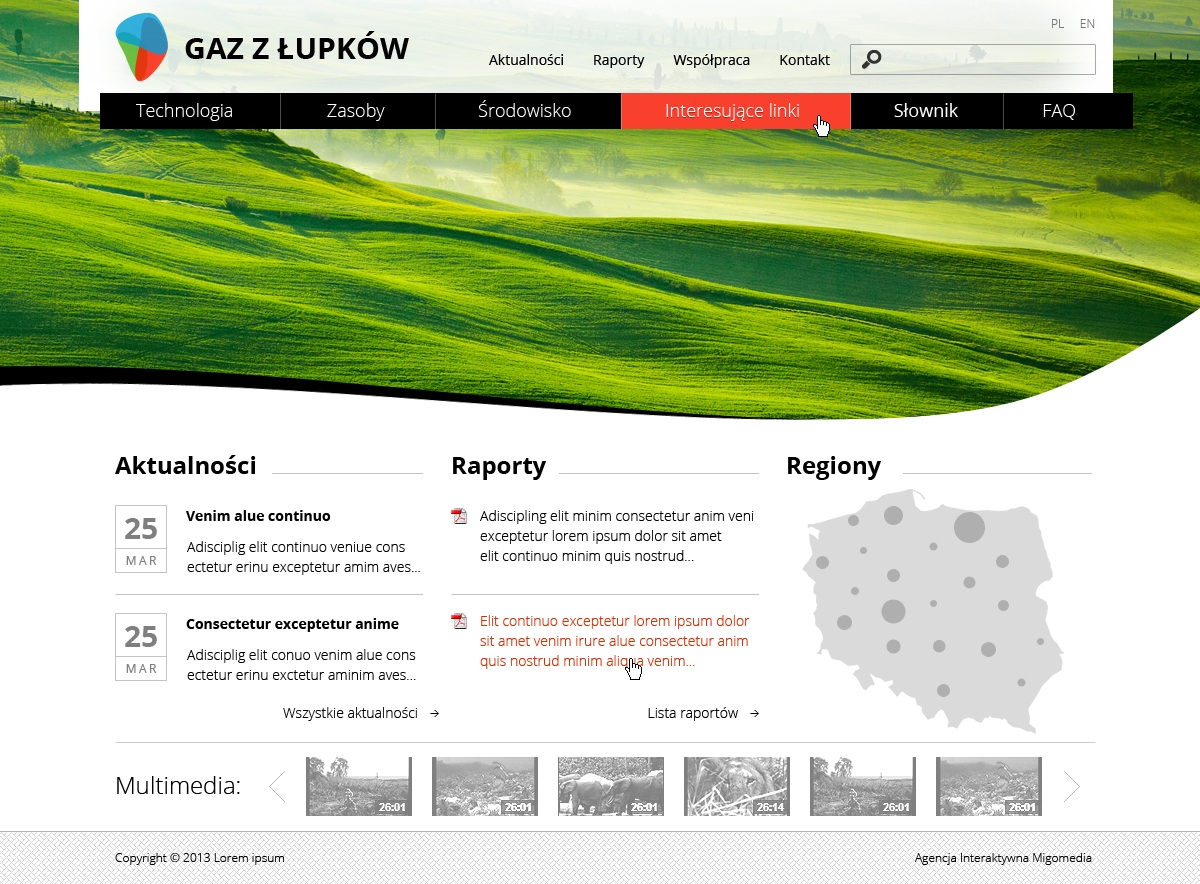 Web Design by mgm for Polish Geological Institute - NRI | Design #2057683