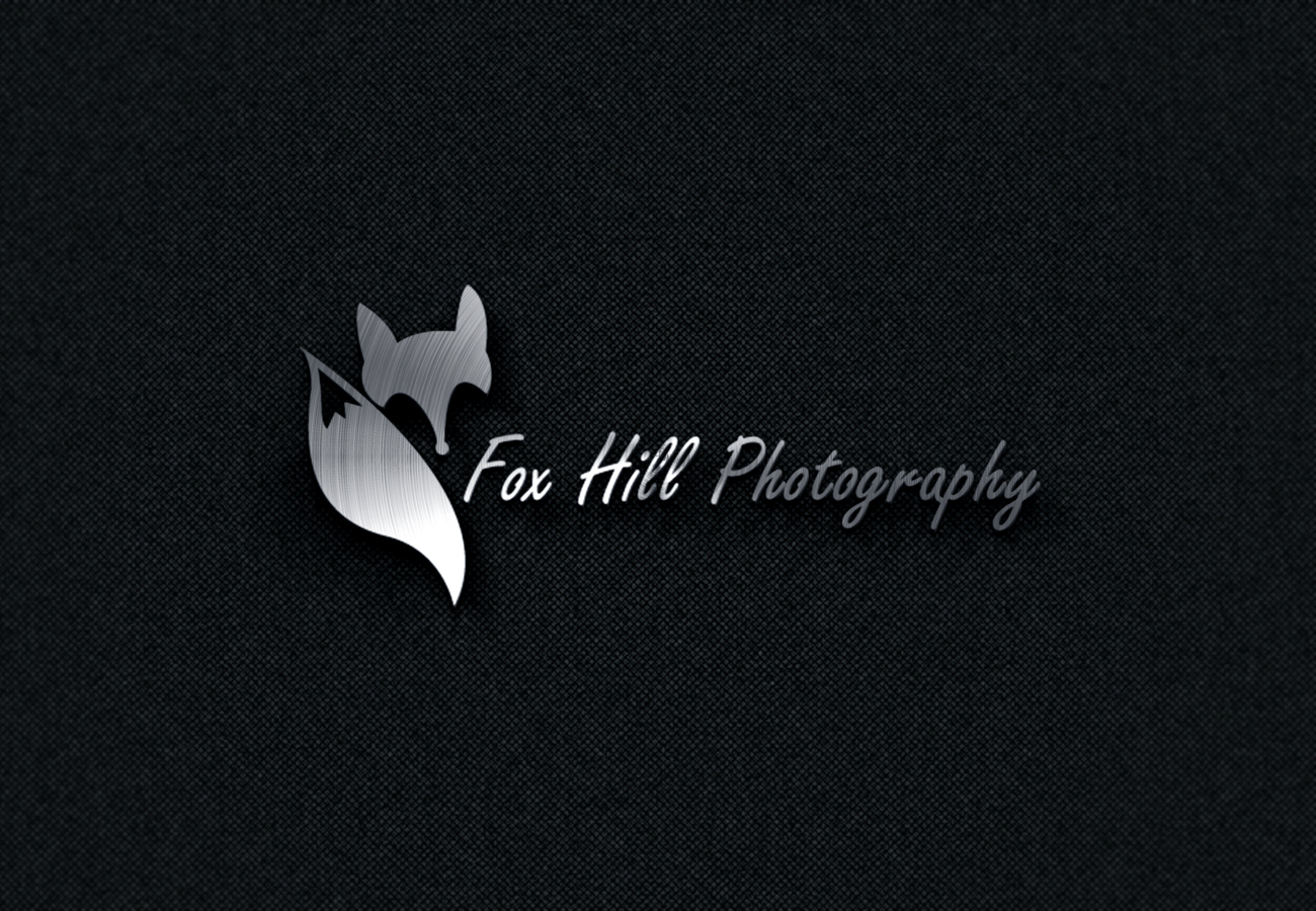 Logo Design by archemran for this project | Design #8515568