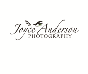 Logo Design by Hot Rod