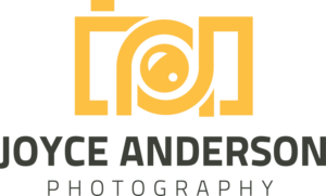 Logo Design by Ovimatic