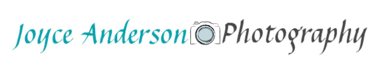 Logo Design by sam han for this project | Design #9156680